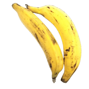 Wheat From Organic Farms