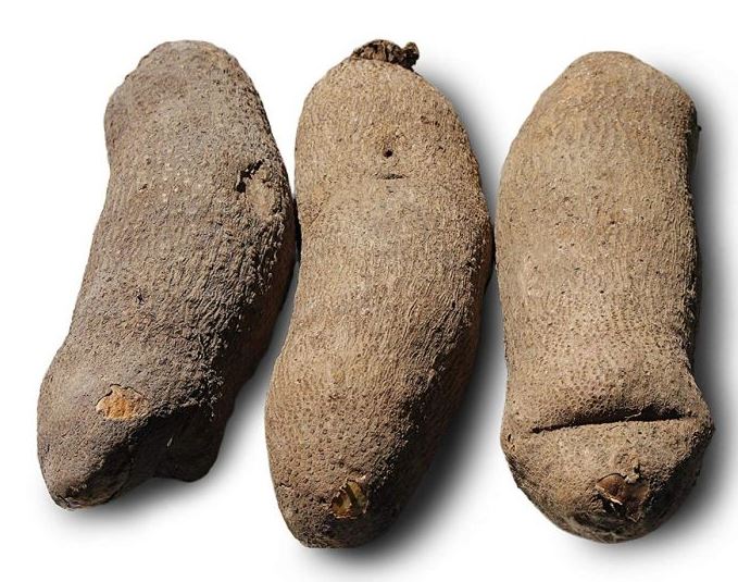 Yam