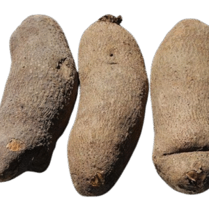 Pulses From Organic Farm