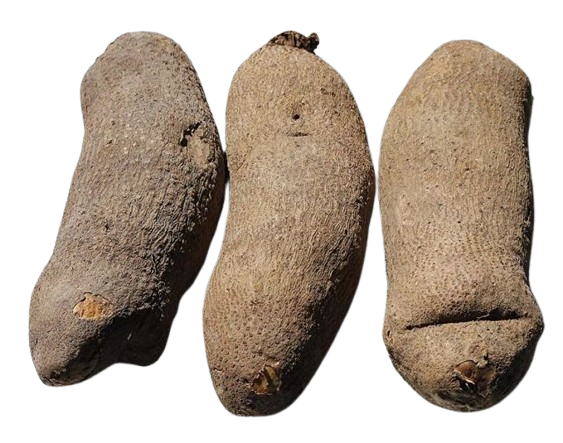 Pulses From Organic Farm