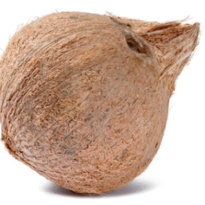 Coconut